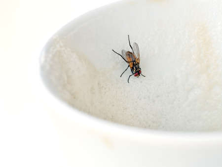 Cappuccino shared with fly. Unhygienic.の写真素材