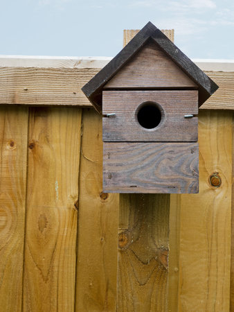 Bird nestbox on fence