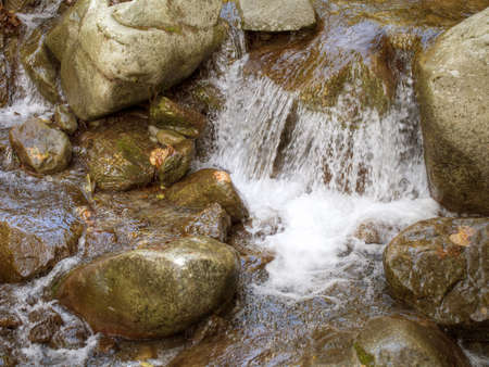 Mountain spring, Italy.の写真素材