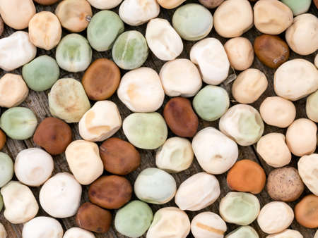 Gardening etc.の写真素材