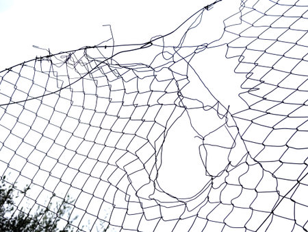 Hole in the fence. White background.の写真素材