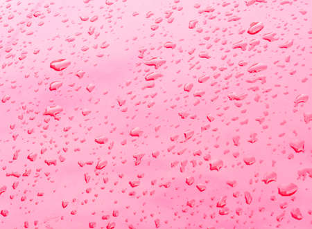 Background. Red, pink raindrop background.の写真素材