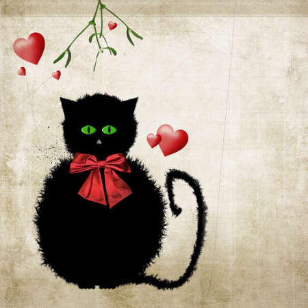 Slightly scruffy cute kitty cat on grunge style background.の写真素材