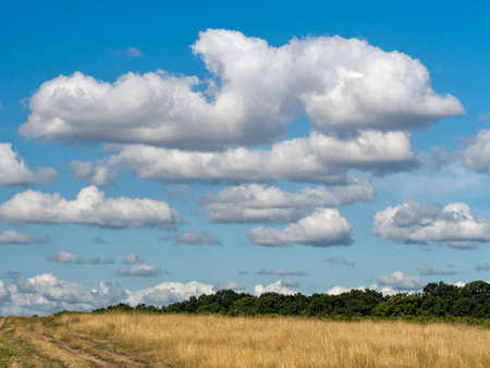 Open countryside with track, UK.の写真素材