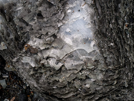 Burnt texture. With layers and ash.