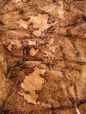Stained brown paper. Great for texture or background.