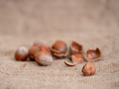 Low angle closeup of hazelnuts on hessian, jute. Differential focus for blurry background effect and...