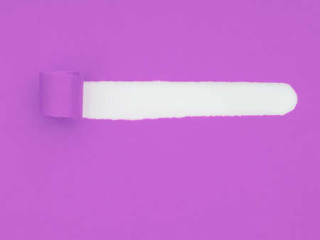 Torn, ripped purple paper, white underneath. Rolled, curled. Background.の写真素材