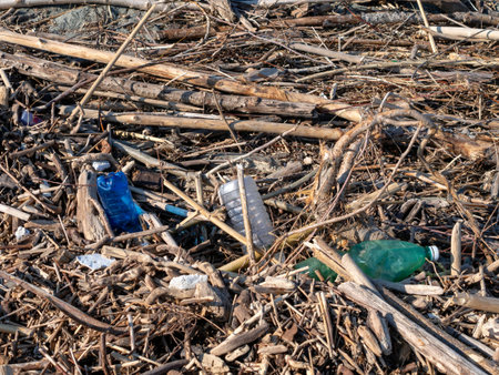 Beach debris washed up after winter storm. Wood branches drfitwood and plastic bottles. Storm aftermath.の写真素材