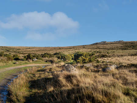 Dartmoor landscape, bleak, barren and beautiful in winter sunshine, with road. Devon, UK.の写真素材