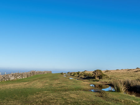 The way ahead, Dartmoor with old dry stone wall, bog and distant landscape view.