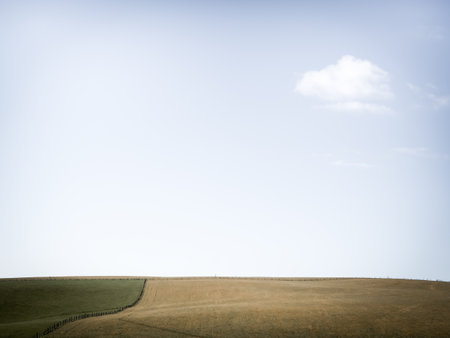 Minimalist meadow, field landscape, wintry day, England.の写真素材