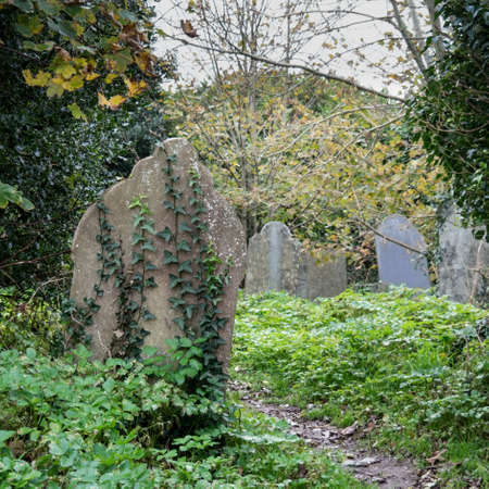 An old plain gravestone in cemetery.の写真素材