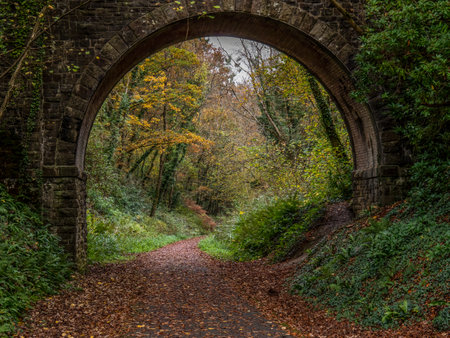 Single arch old bridge on the Tarka Trail in north Devon. Autumn.の写真素材