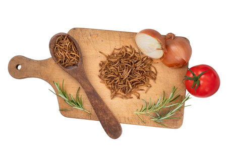 Cooking with mealworms, insect protein, with onion, tomato and rosemary. Ingredients isolated on...