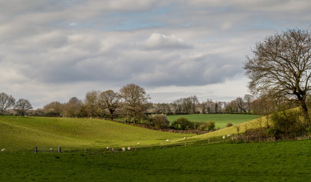 Rural Suffolk landscape, England, UK.の写真素材