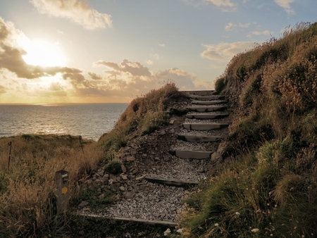 Late evening light near Hartland Quay, steps along the Coastal Path. Devon Uk.
