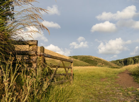 Late evening light falls on gateway near Hartland Quay, along the Coastal Path. Devon Uk.の写真素材