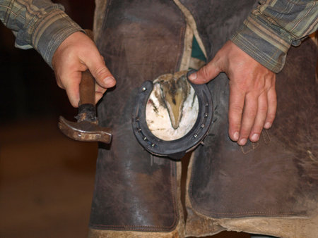 A farrier recurves driven in a horseshoe nailsの写真素材