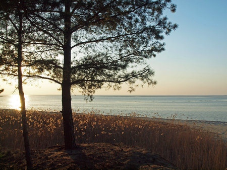 Sandy coast of the Kievan storage pool on the river Dnepr, Ukraineの写真素材