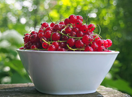 Red currant ripe berries in bowl