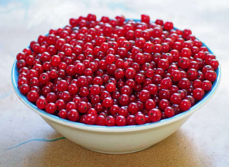 Plateful of ripe berries of red currantの写真素材
