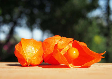 Cape gooseberry boxes against the background of a wooden surfaceの写真素材