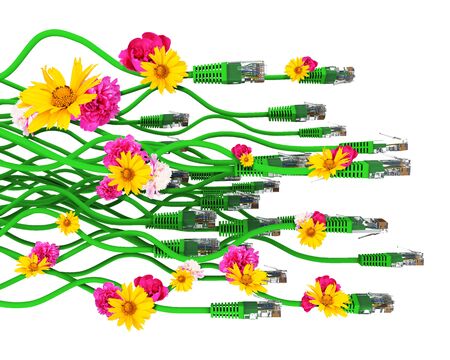 Computer cables with flowers isolated on white background. 3D illustrationの写真素材