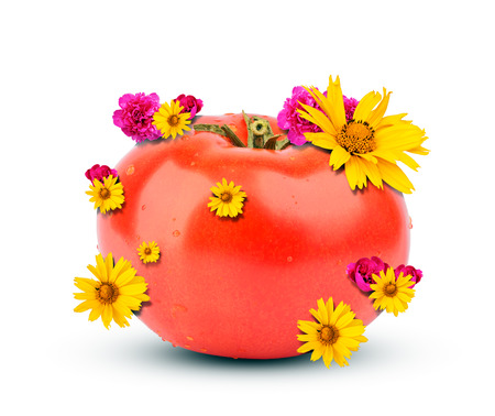 Tomato with flowers isolated on white backgroundの写真素材