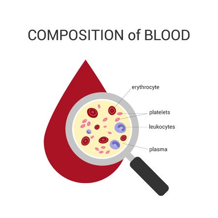 The composition of the blood under a magnifying glass.のイラスト素材
