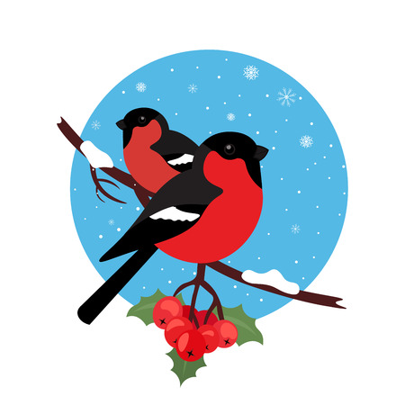Bullfinch are bird winter. Illustration vector in modern flat design.のイラスト素材