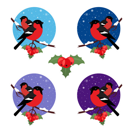 Bullfinch are bird winter. Illustration vector in modern flat design. Round web icon.のイラスト素材