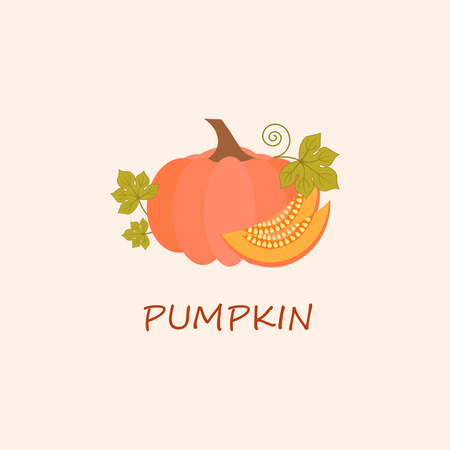 Ripe pumpkin in flat style. Natural healthy food.のイラスト素材