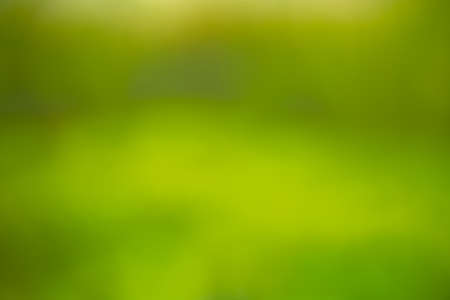 green background abstractの写真素材