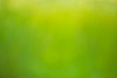 Abstract Green Backgroundの写真素材