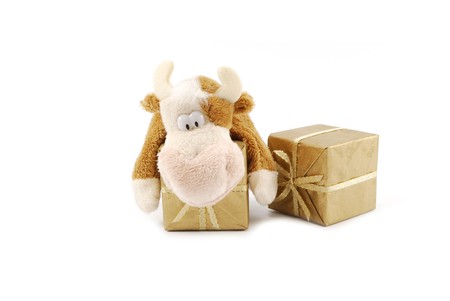 toy and giftの写真素材