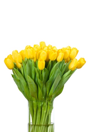 Yellow tulips in the vase isolated on white backgroundの写真素材