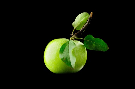 Green appleの写真素材