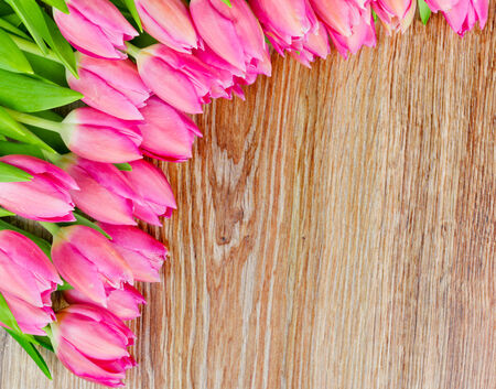 Tulips flowersの写真素材