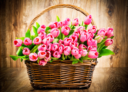 Tulips flowersの写真素材