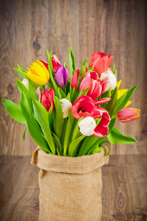 Tulipsの写真素材