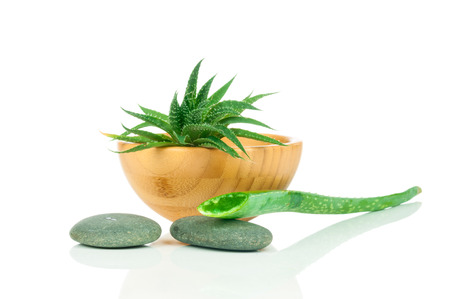 Set for spa treatment on white backgroundの写真素材