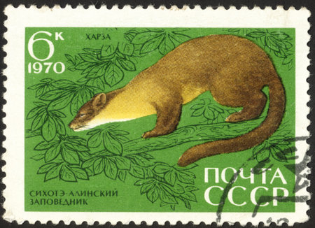 MOSCOW, RUSSIA - DECEMBER, 2015: a post stamp printed in the USSR shows an amimal "Martes gwatkinsi", the series "Fauna - Sikhote-Alin Nature Reserve", circa 1970のeditorial素材