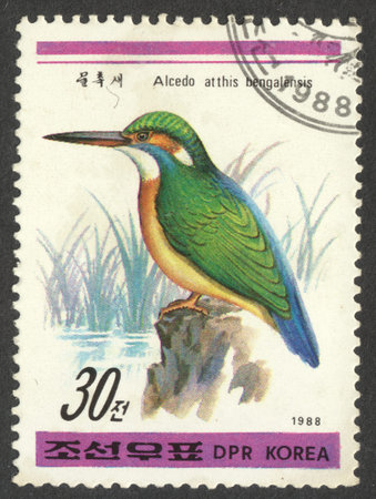 MOSCOW, RUSSIA - CIRCA APRIL, 2016: a post stamp printed in the NORTH KOREA shows a bird Alcedo atthis bengalensis, the series "Birds", circa 1988のeditorial素材