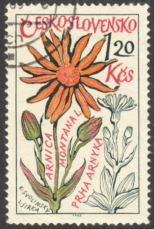 MOSCOW, RUSSIA - CIRCA OCTOBER, 2016: a stamp printed in CZECHOSLOVAKIA shows an Arnica montana flower, the series "Medicinal Plants", circa 1965のeditorial素材