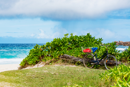 Amazing tropical beachの写真素材