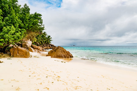 Amazing tropical beach