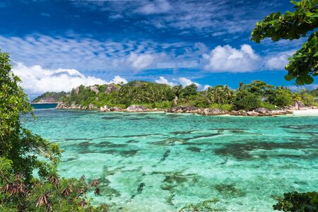 Photo of a thopical beach on the sunny dayの写真素材