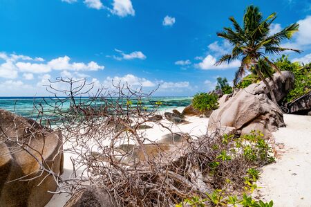 Photo of a tropical beach on the sunny dayの写真素材