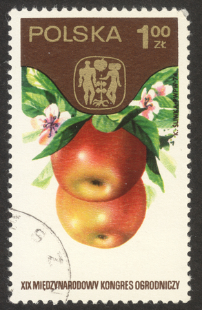MOSCOW RUSSIA - CIRCA OCTOBER 2017: a post stamp printed in POLAND shows apples, the series "The 19th International Hortcultural Congress,, Warsaw", circa 1974のeditorial素材